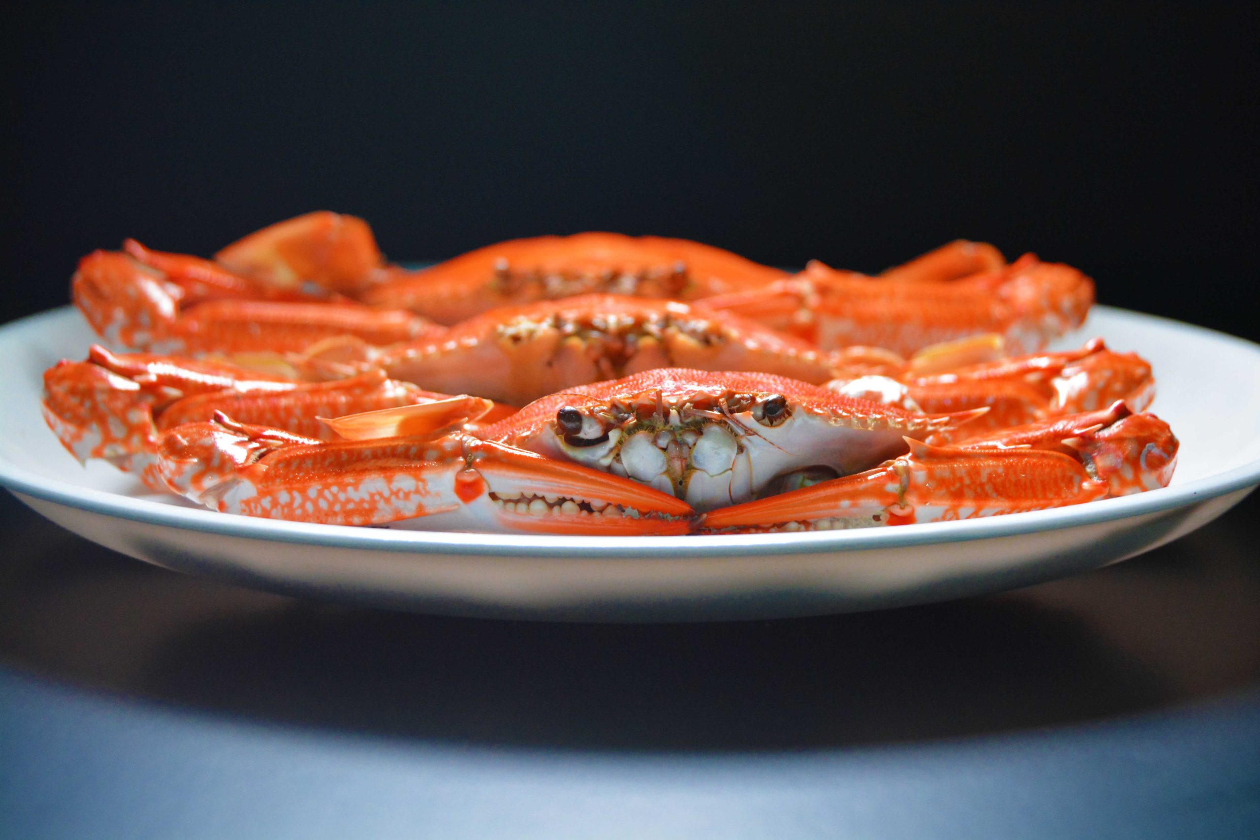 Cómo cocinar patas de cangrejo de manera creativa y sabrosa.